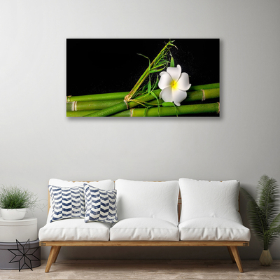 Canvas print Bamboo flower floral white green