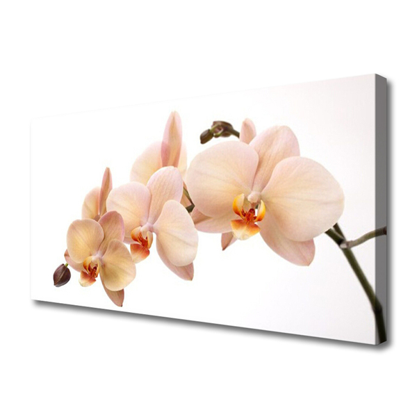 Canvas print Flowers floral white brown