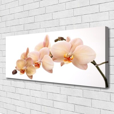 Canvas print Flowers floral white brown