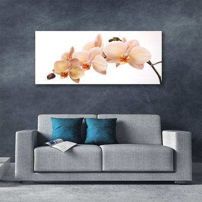 Canvas print Flowers floral white brown