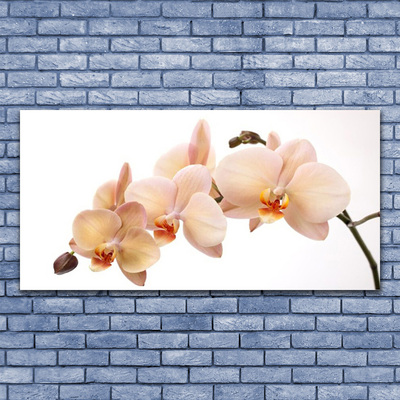 Canvas print Flowers floral white brown