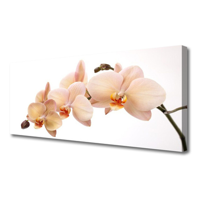 Canvas print Flowers floral white brown