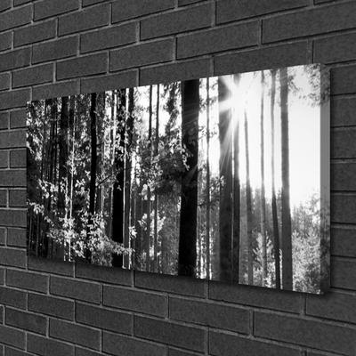 Canvas print Forest nature grey