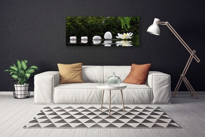 Canvas print Stones flower art white green