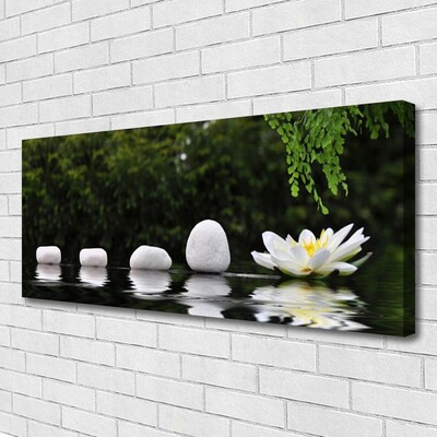 Canvas print Stones flower art white green