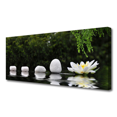 Canvas print Stones flower art white green