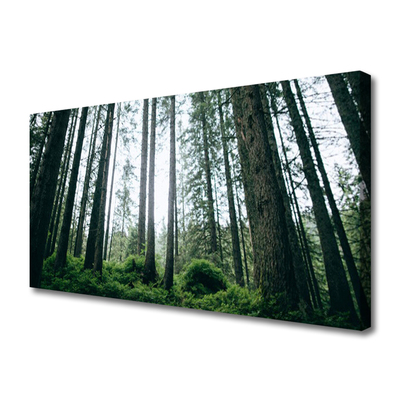 Canvas print Forest nature brown green