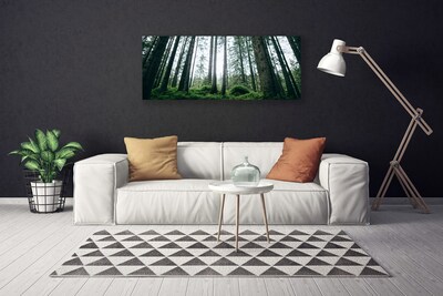 Canvas print Forest nature brown green