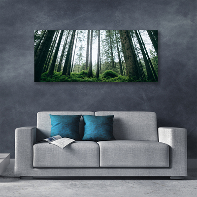 Canvas print Forest nature brown green