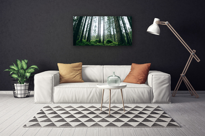 Canvas print Forest nature brown green