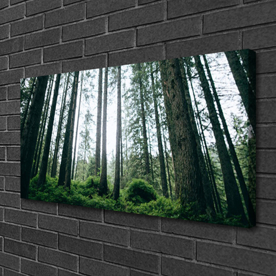 Canvas print Forest nature brown green