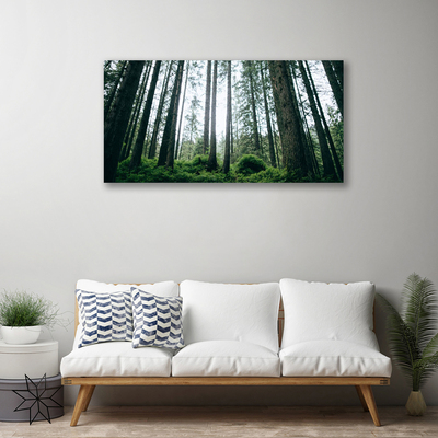 Canvas print Forest nature brown green