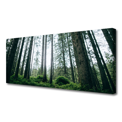 Canvas print Forest nature brown green