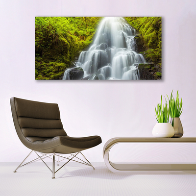 Canvas print Waterfall nature white grey green