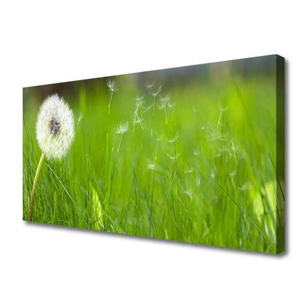 Canvas print Pusteblume grass floral white green