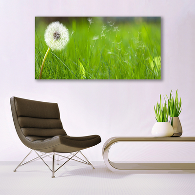 Canvas print Pusteblume grass floral white green