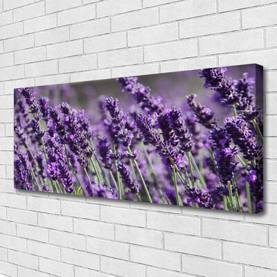 Canvas print Flowers floral purple