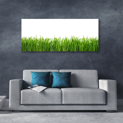 Canvas print Grass nature green