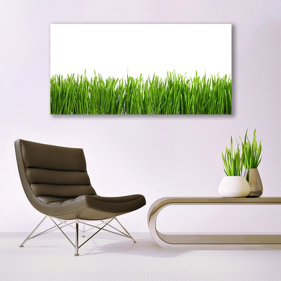 Canvas print Grass nature green