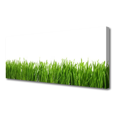 Canvas print Grass nature green