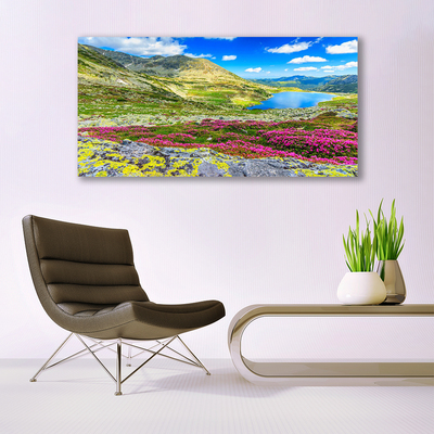 Canvas print Mountain bay meadow nature multi