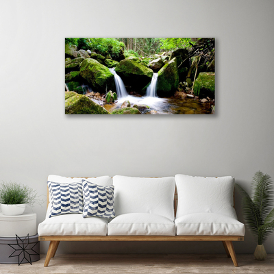 Canvas print Waterfall rocks nature green white grey