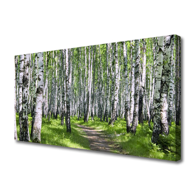 Canvas print Forest footpath nature green brown white black