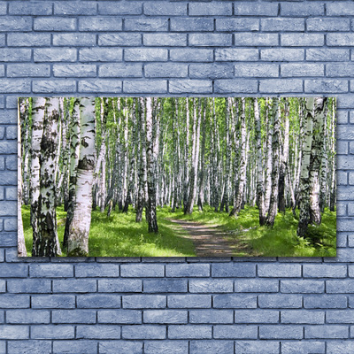 Canvas print Forest footpath nature green brown white black