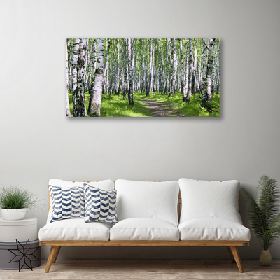 Canvas print Forest footpath nature green brown white black