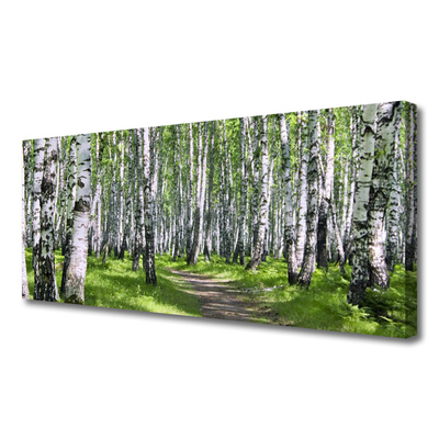 Canvas print Forest footpath nature green brown white black