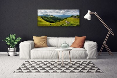 Canvas print Mountain meadow landscape green grey