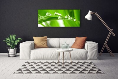 Canvas print Leaves floral green