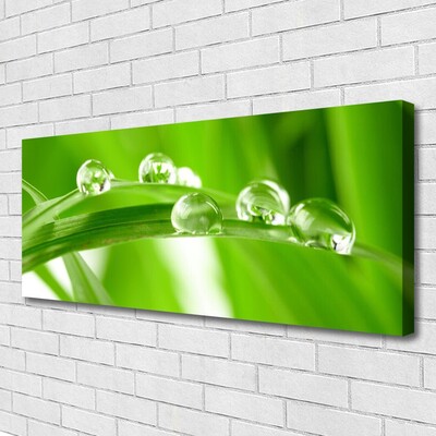 Canvas print Leaves floral green