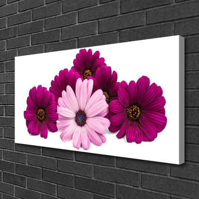 Canvas print Flowers floral red pink