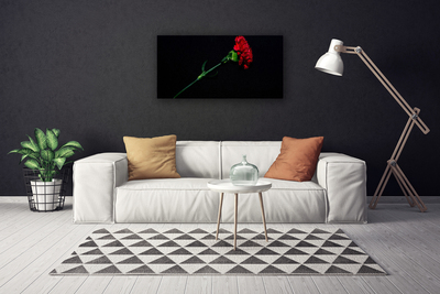 Canvas print Flower floral red green