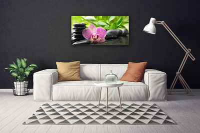 Canvas print Flower stones floral red black