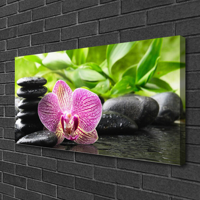 Canvas print Flower stones floral red black