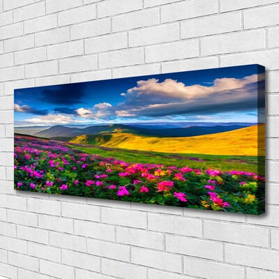 Canvas print Meadow flowers nature green blue pink red