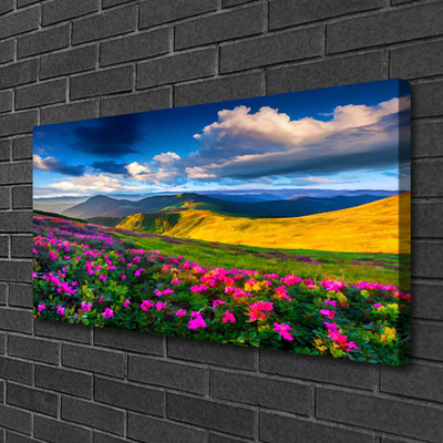 Canvas print Meadow flowers nature green blue pink red
