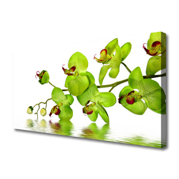 Canvas print Flowers floral green