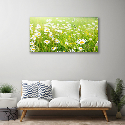 Canvas print Meadow daisies nature white yellow green