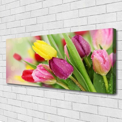 Canvas print Tulips floral green red