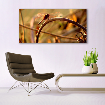 Canvas print Dragon-fly nature green