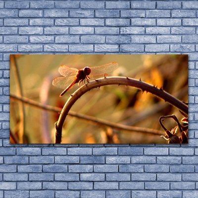 Canvas print Dragon-fly nature green