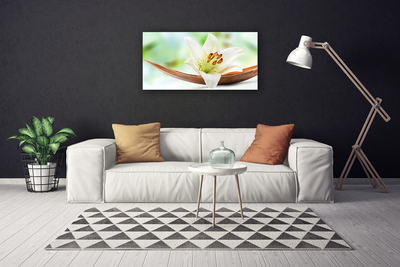 Canvas print Flower floral white