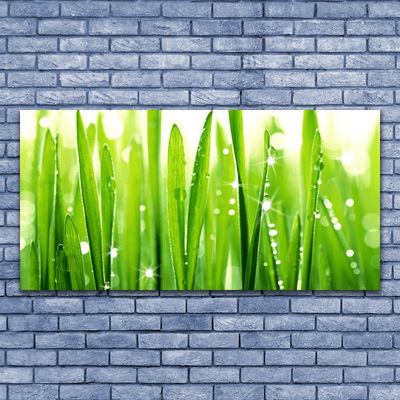 Canvas print Grass floral green