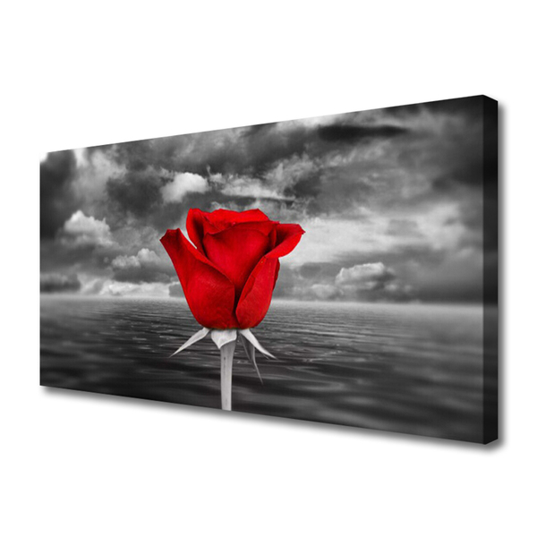 Canvas print Rose floral red grey
