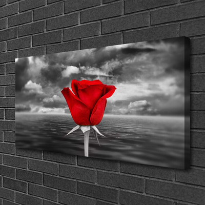 Canvas print Rose floral red grey