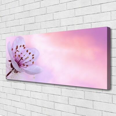 Canvas print Flower floral pink