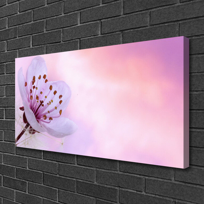 Canvas print Flower floral pink